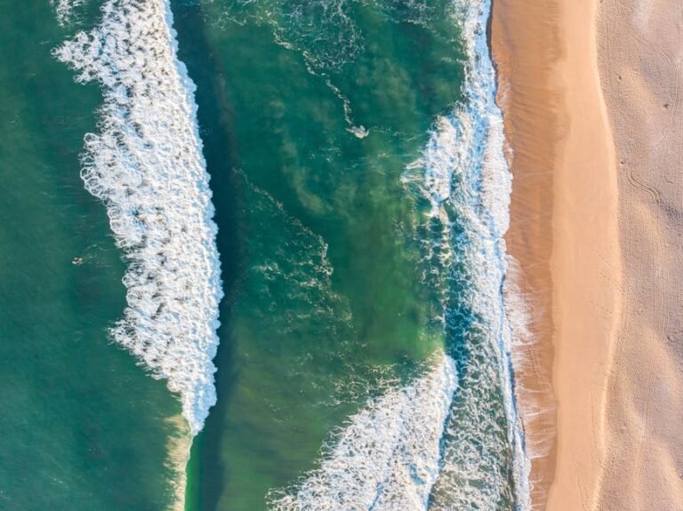 O Segredo da Melhor Praia de Floripa (Dezembro)