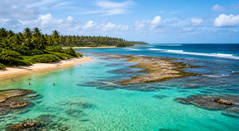 Illustrative image of a reef-protected beach near Porto de Galinhas, Brazil