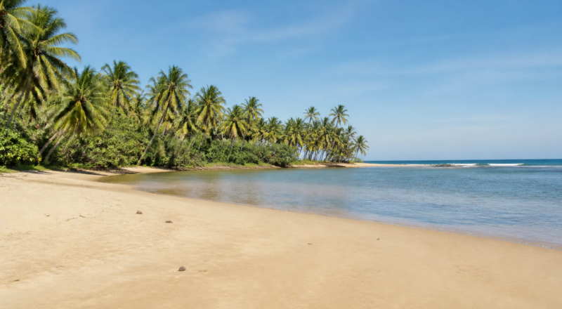 Palm-lined sandy shoreline and river-mouth curve at Praia dos Nativos in Trancoso