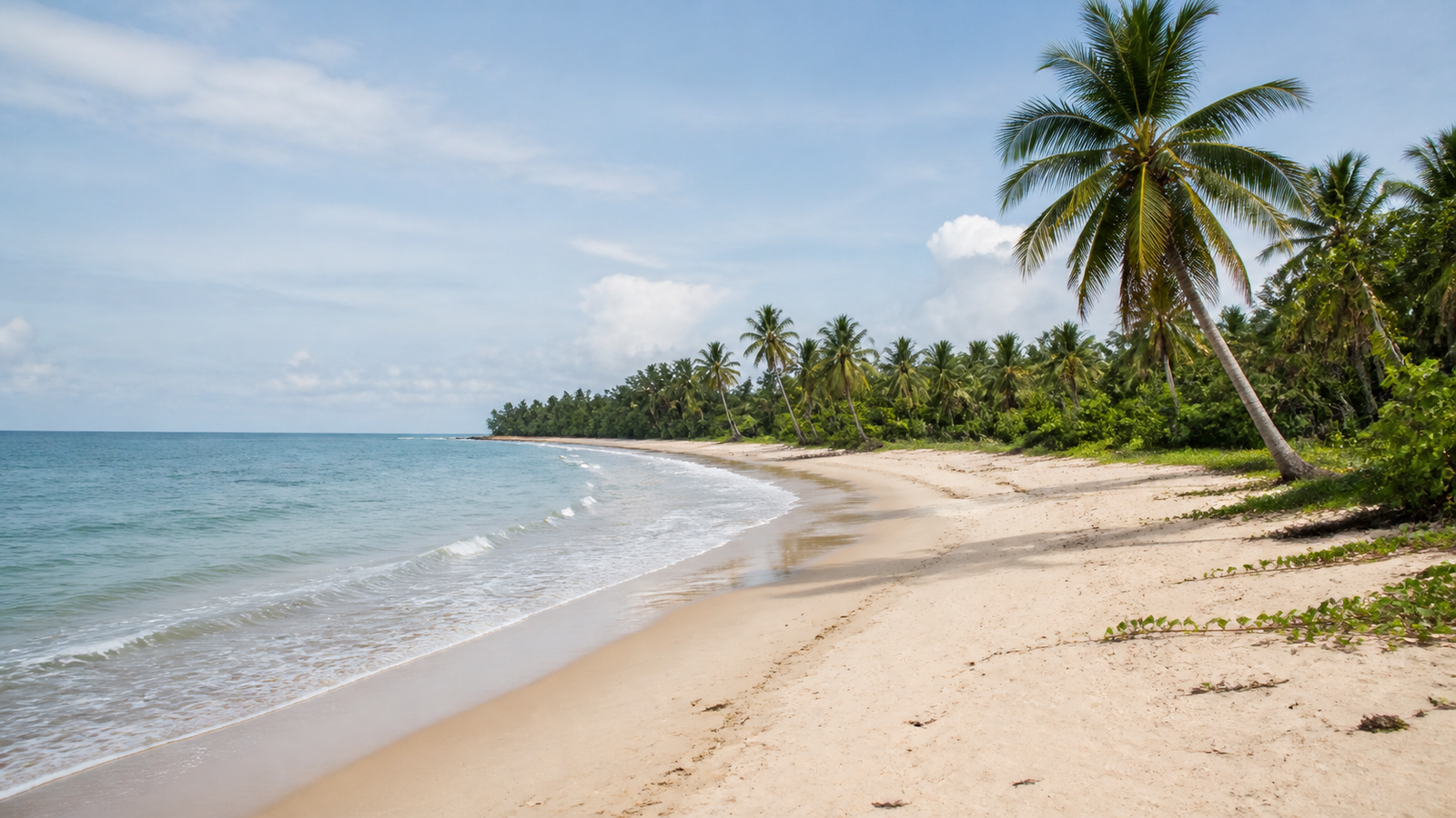 What to do in Trancoso: a first-day route that does not feel rushed 2 Palm-lined shoreline at Praia dos Nativos in Trancoso.