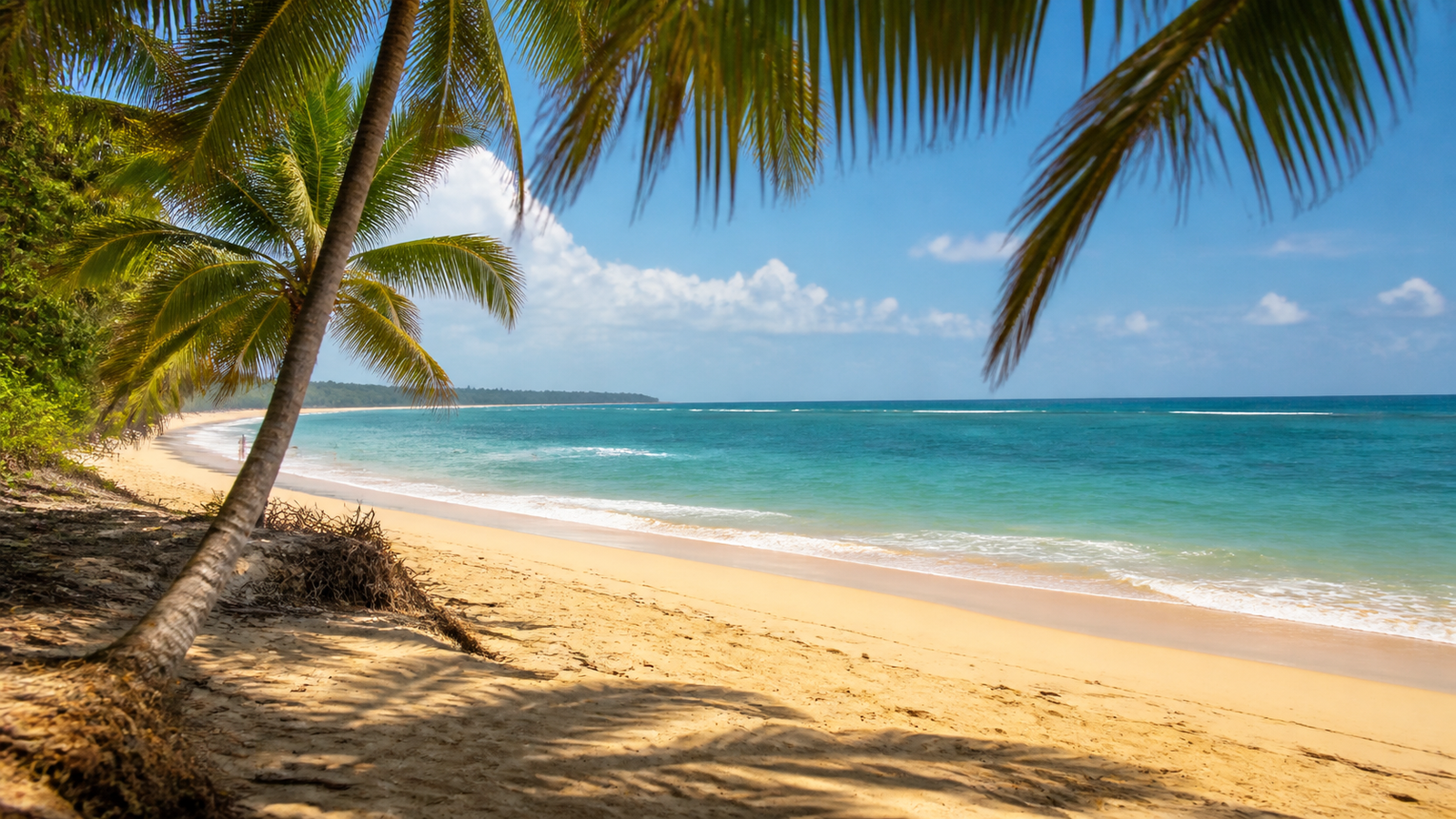 What to do in Trancoso: a first-day route that does not feel rushed 3 Sandy shore and coconut palms at Praia dos Coqueiros in Trancoso.
