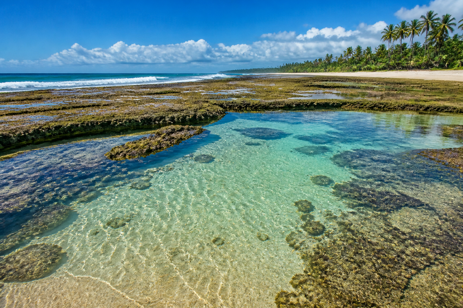 Trancoso Beyond Luxury: Quiet Beaches You Need to See 3 Illustrative low-tide natural pools on a palm-lined Bahia beach.