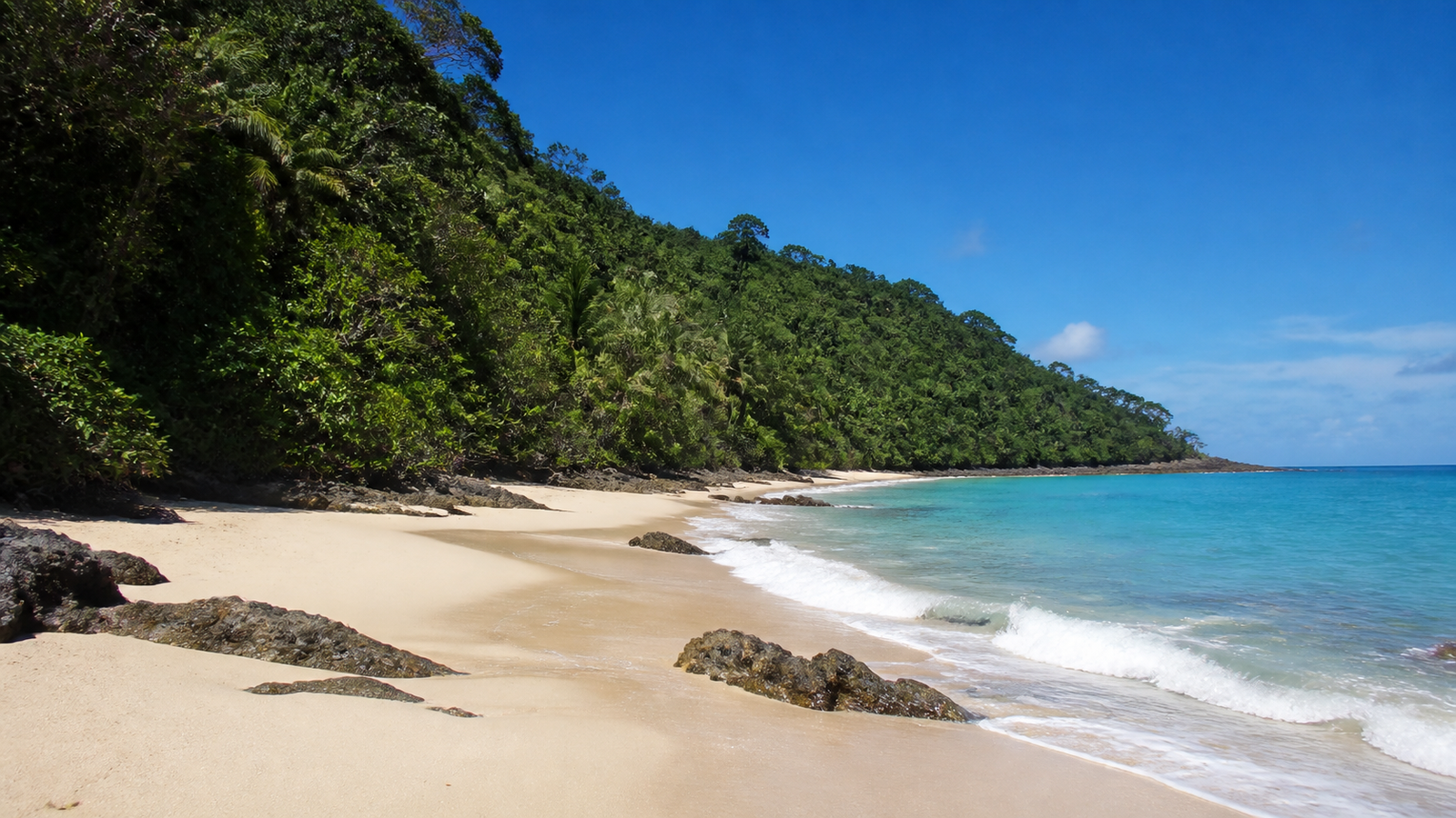 Trancoso Beyond Luxury: Quiet Beaches You Need to See 2 Illustrative view of a quiet tropical beach bordered by dense vegetation.