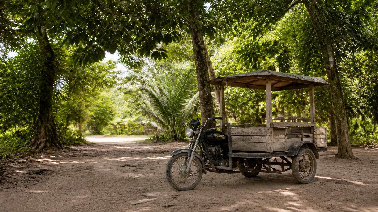 Belém Beyond the Obvious: 4 River Islands and Boat Trips Worth the Day Trip 3 Motorized passenger tricycle with wooden carriage motorrete parked on a dirt track on car-free Ilha de Cotijuba