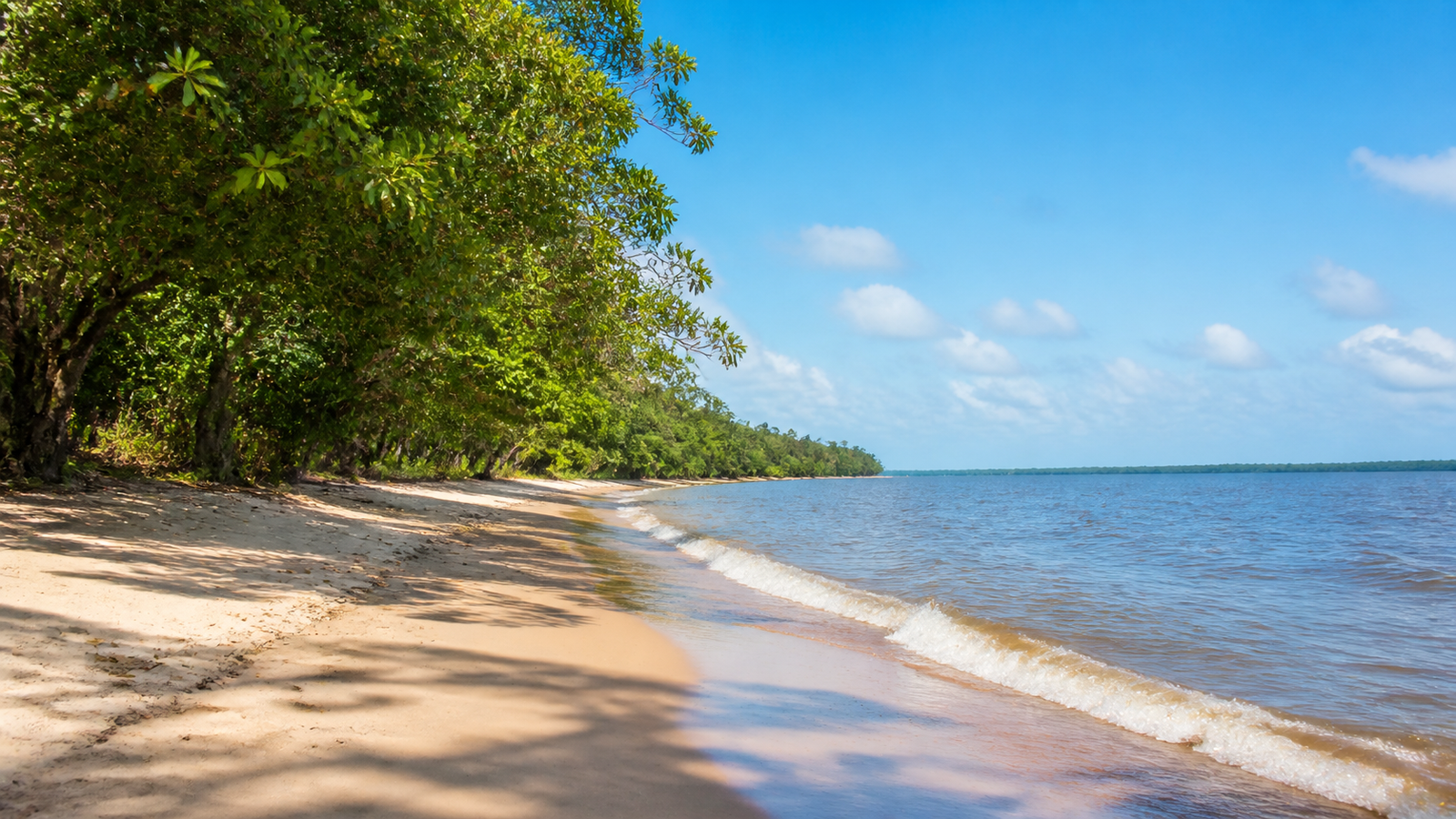 Belém Beyond the Obvious: 4 River Islands and Boat Trips Worth the Day Trip 4 Wide sandy freshwater river beach with gentle waves and shade trees on Ilha de Mosqueiro near Belém