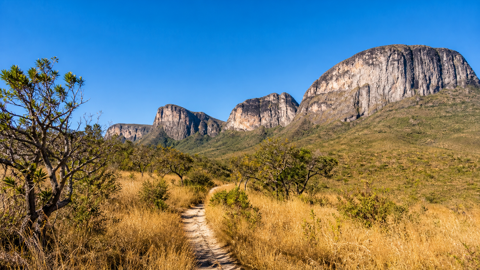 Hiking trail leading toward quartzite mountains in Chapada dos Veadeiros National Park