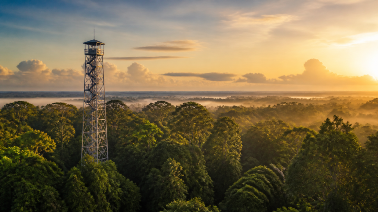 MUSA 42-meter observation tower rising above the green Amazon rainforest canopy in Manaus at golden hour