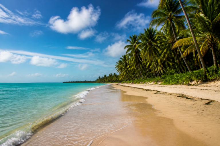 Scenic view of the tropical coastline and palm-lined promenade in João Pessoa, Paraíba, Brazil.