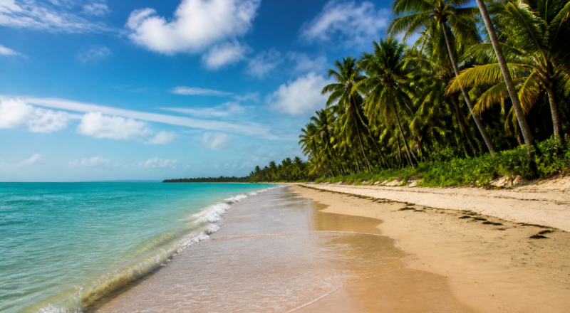 Scenic view of the tropical coastline and palm-lined promenade in João Pessoa, Paraíba, Brazil.