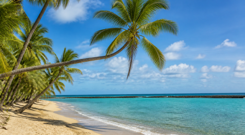 Panoramic view of Praia do Bessa with calm turquoise water and coconut palms in João Pessoa, Brazil.