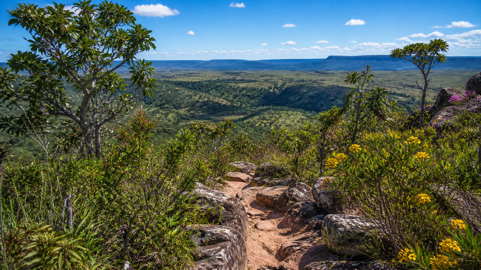 Hiking trail in Serra de Caldas State Park overlooking Cerrado hills and plateau