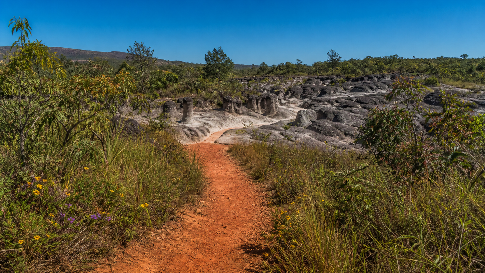 Walking path through native Cerrado vegetation leading to Vale da Lua in Chapada dos Veadeiros