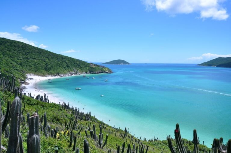 Vista do alto da trilha para a Praia do Forno, em Arraial do Cabo, com cactos e vegetação de restinga em primeiro plano, a enseada de água azul-turquesa com barcos ancorados e morros verdes ao redor
