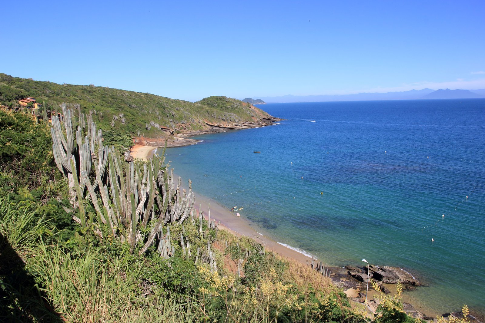 Vista do alto do morro sobre a Praia de João Fernandes, em Búzios, com cactos e vegetação de restinga em primeiro plano e o mar azul-turquesa abaixo
