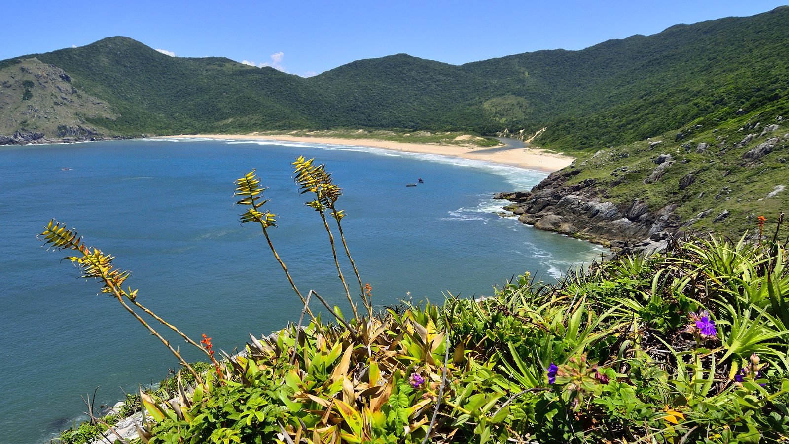 Lagoinha do Leste beach in Florianópolis, Brazil, seen from the hiking trail, with a strip of sand, a small lagoon, blue ocean and hills covered in Atlantic Forest