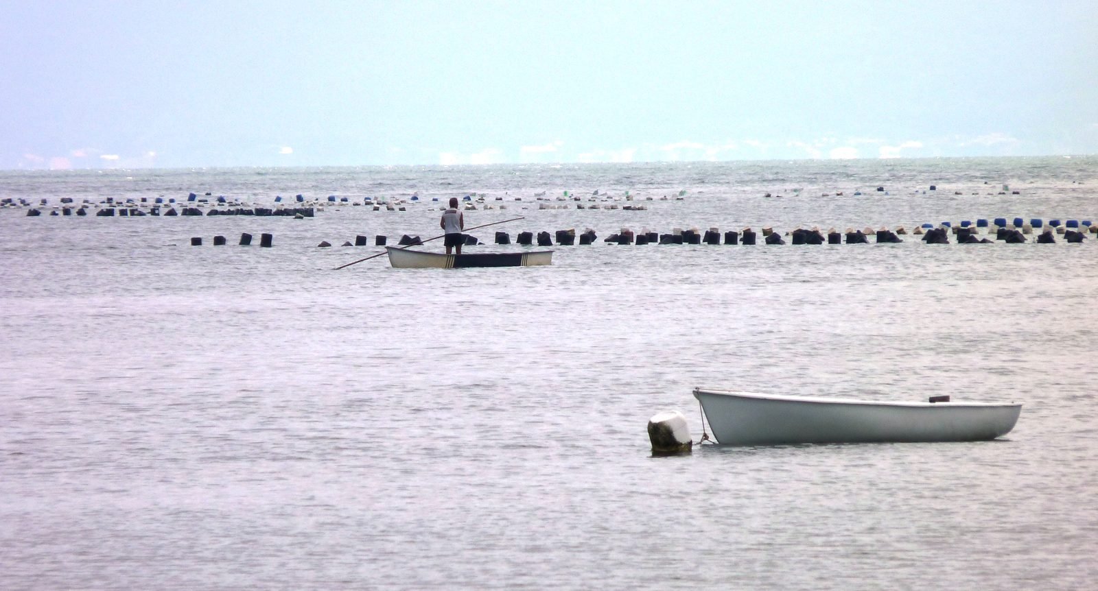 Oyster farms in the South Bay off Ribeirão da Ilha, Florianópolis, Brazil, with farming structures in the water, a small boat and mainland mountains in the background