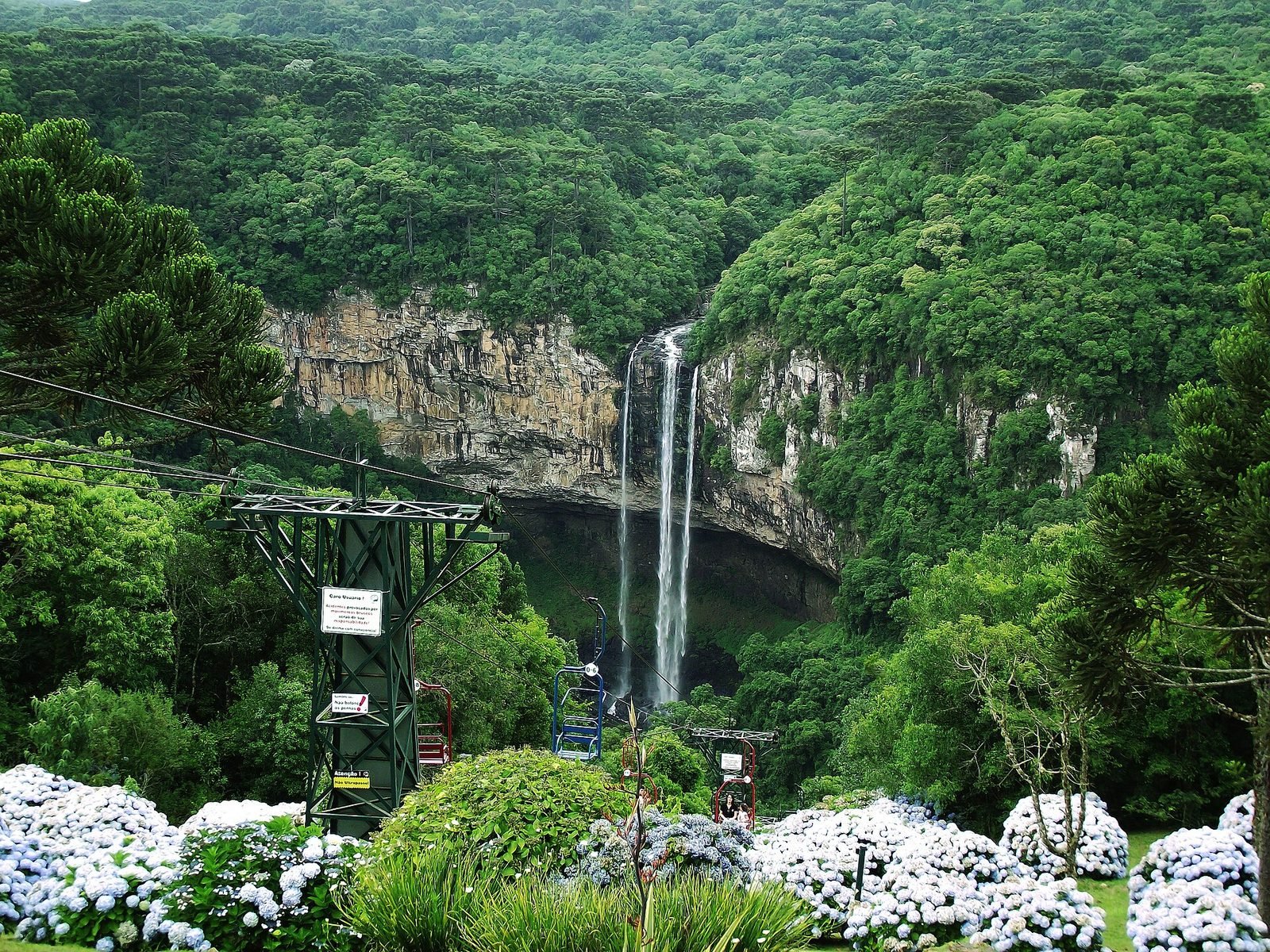 Caracol Waterfall in Canela, dropping down a rock wall surrounded by forest, with hydrangeas in the foreground