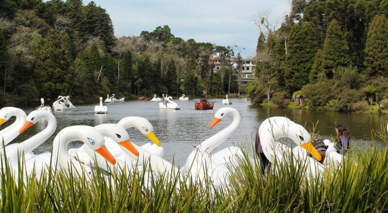 Lago Negro em Gramado cercado por árvores