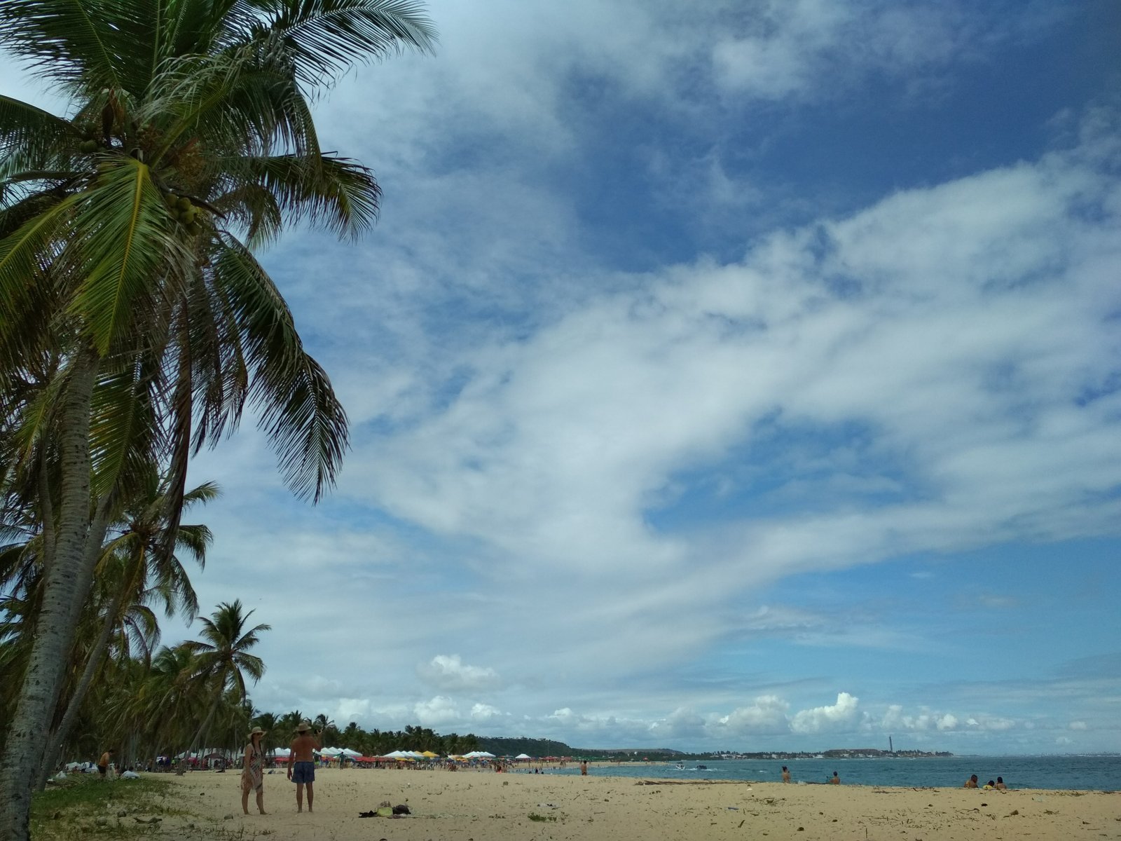 Sand strip at Praia do Gunga in Roteiro, Alagoas, Brazil, with tall coconut palms on the left, beachgoers and a calm sea under a blue sky with clouds