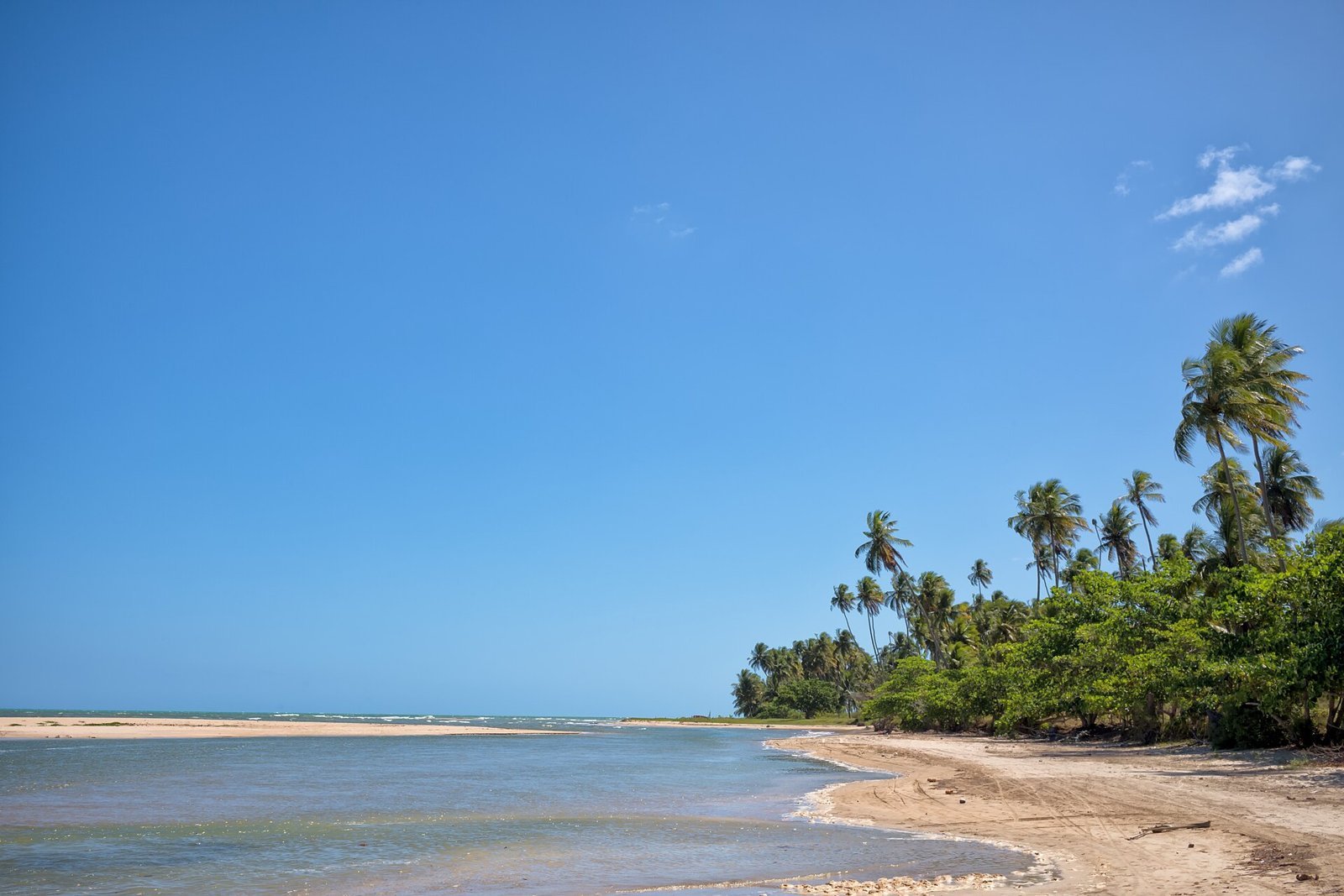 O que fazer em Maragogi: guia completo 2026 com piscinas naturais, marés, taxas, roteiro e onde ficar 3 Ponta de areia branca do Pontal de Maragogi avançando sobre o mar azul-turquesa, com coqueiros e vegetação baixa ao fundo e céu com nuvens