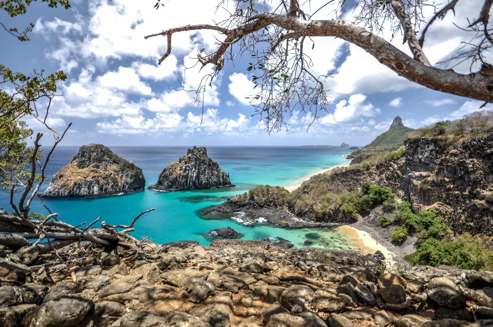 Baía dos Porcos em Fernando de Noronha com piscinas de água verde-esmeralda entre as rochas vulcânicas e o Morro Dois Irmãos no mar ao fundo, emoldurado por galhos de árvore