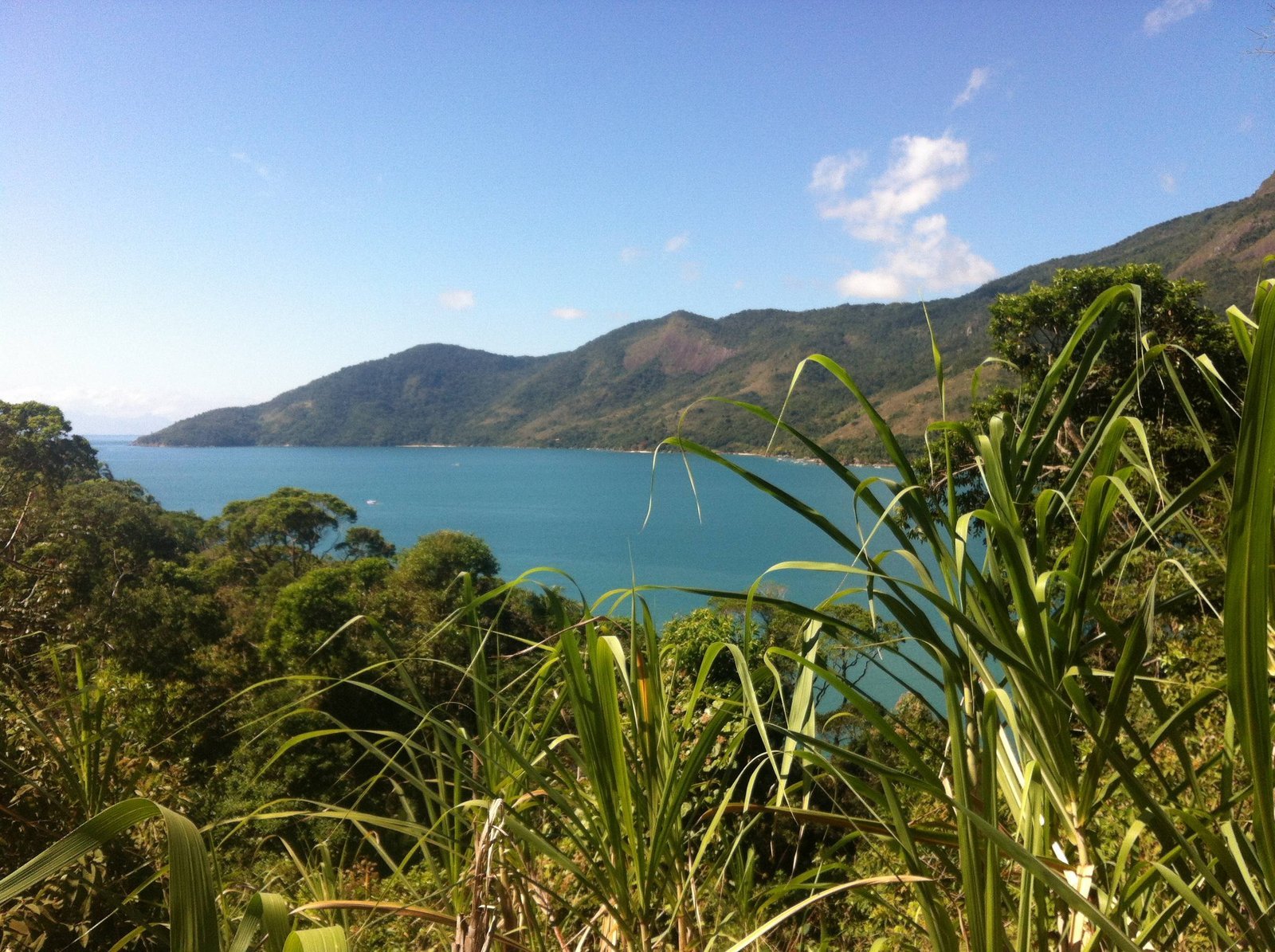 Vista do alto do Saco do Mamanguá, em Paraty, com a enseada de água azul entre montanhas cobertas de Mata Atlântica e folhagem de bananeiras em primeiro plano
