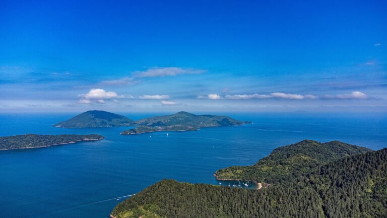 Vista aérea do Parque Estadual da Ilha Anchieta, em Ubatuba, com a ilha coberta de mata atlântica, praias de areia clara e mar azul-esverdeado em volta