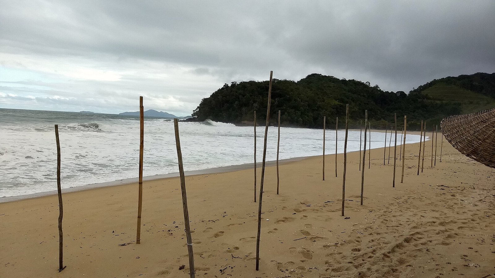 Praia do Prumirim, em Ubatuba, com faixa de areia clara, varas de bambu fincadas na areia e costeira coberta de mata atlântica sob céu nublado